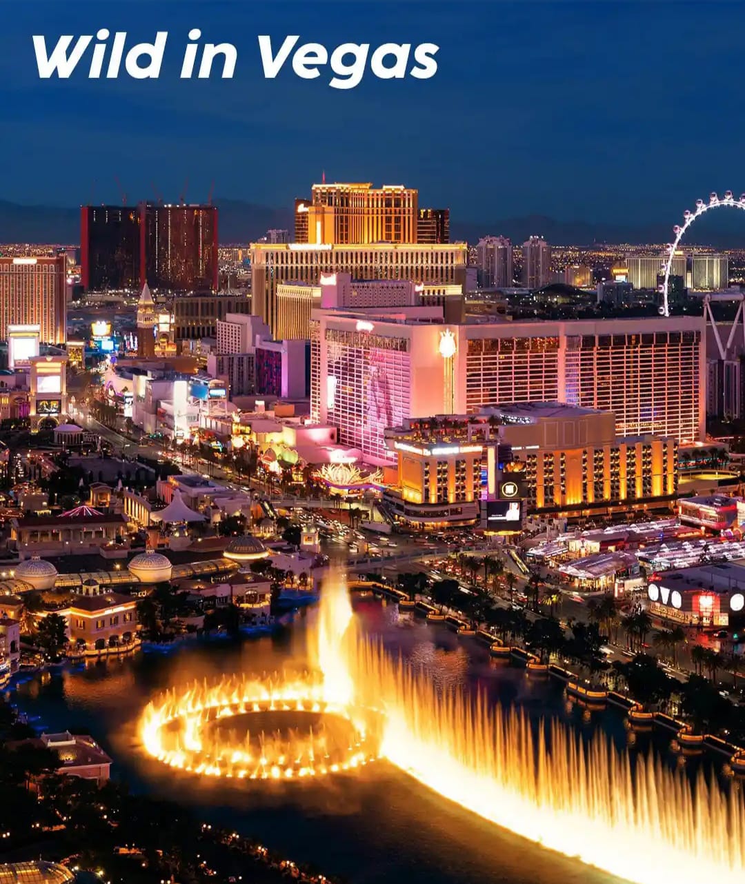 PLIX  THE PLANT FIX WILD IN VEGAS LONG LASTING EAU DE PARFUM - 100ML