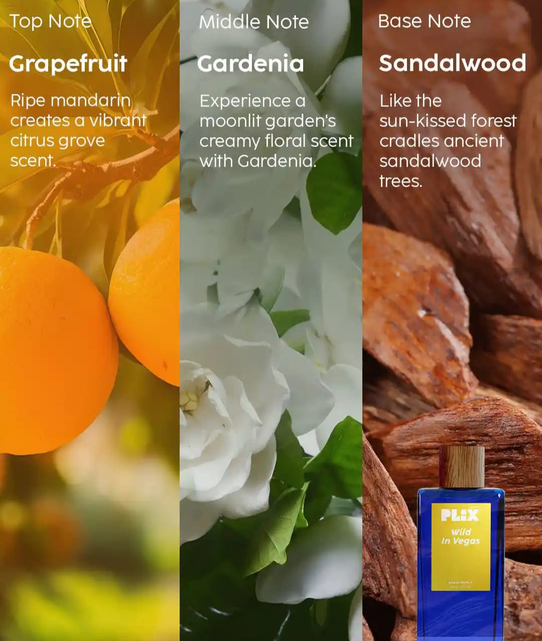 PLIX  THE PLANT FIX WILD IN VEGAS LONG LASTING EAU DE PARFUM - 100ML