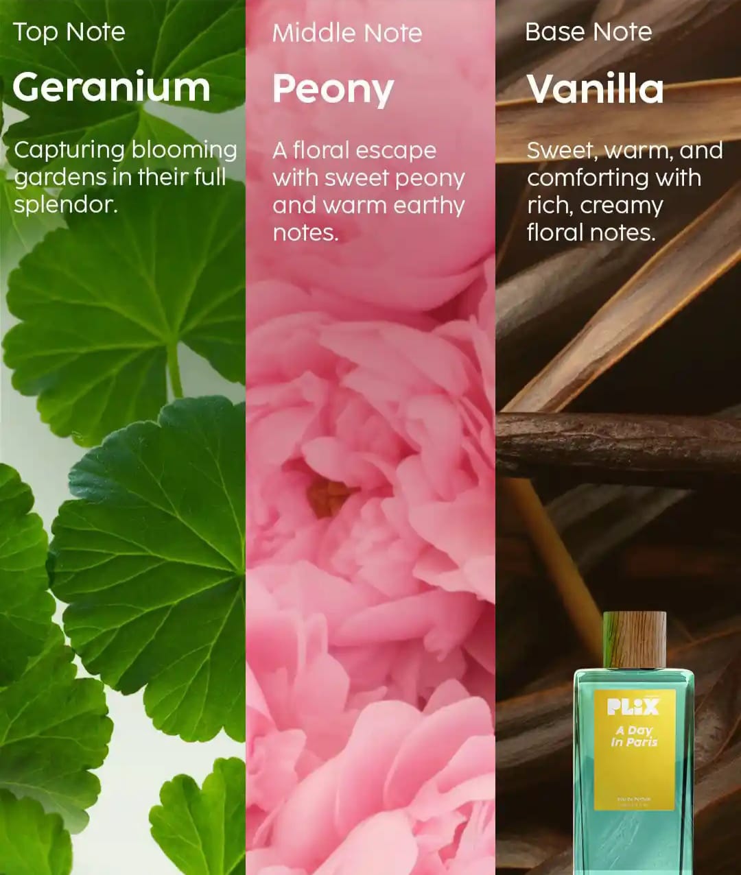 PLIX THE PLANT FIX A DAY IN PARIS EAU DE PERFUM 100ML